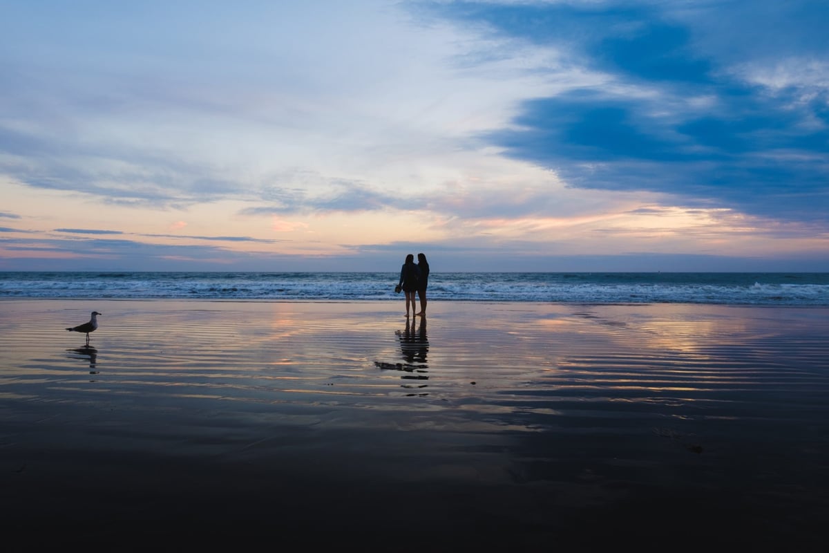 Color and contrast sample