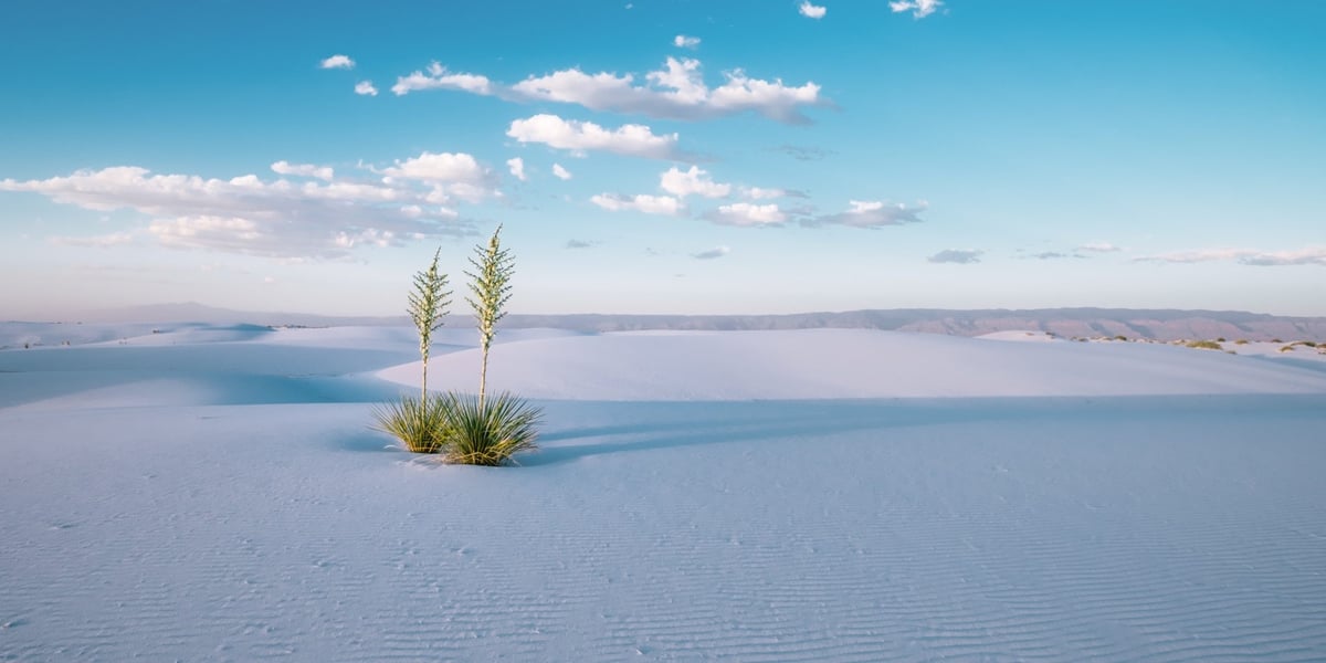 White Sands New Mexico