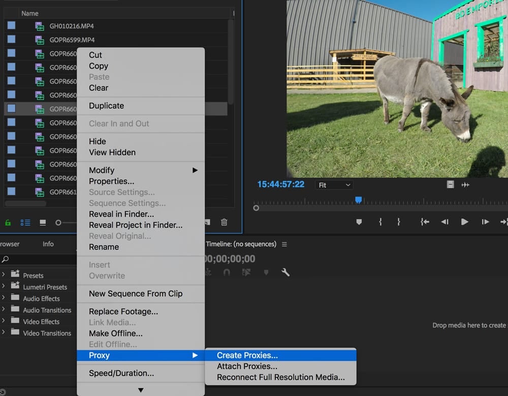 Menu Window, Proxy - Create Proxies.