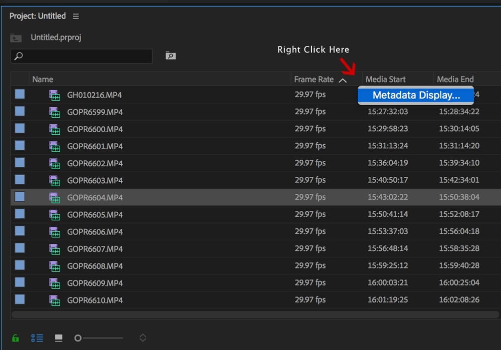Open the Meta Data Display