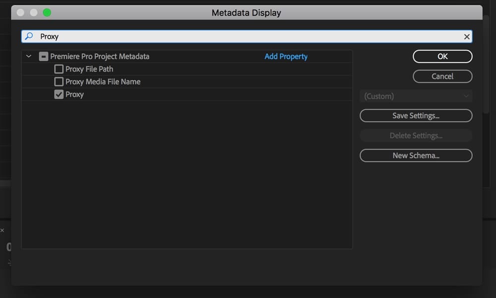 Metadata Display Window