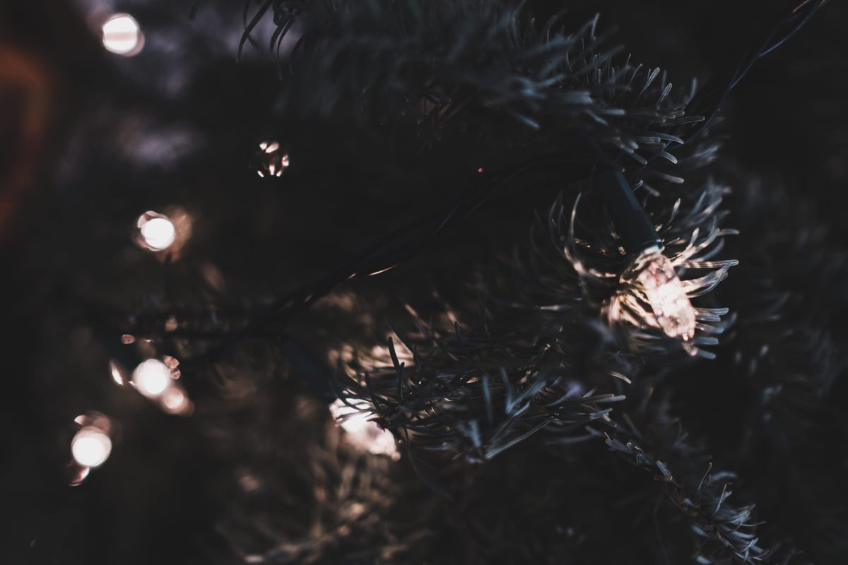 Fuji 23mm f1.4 bokeh