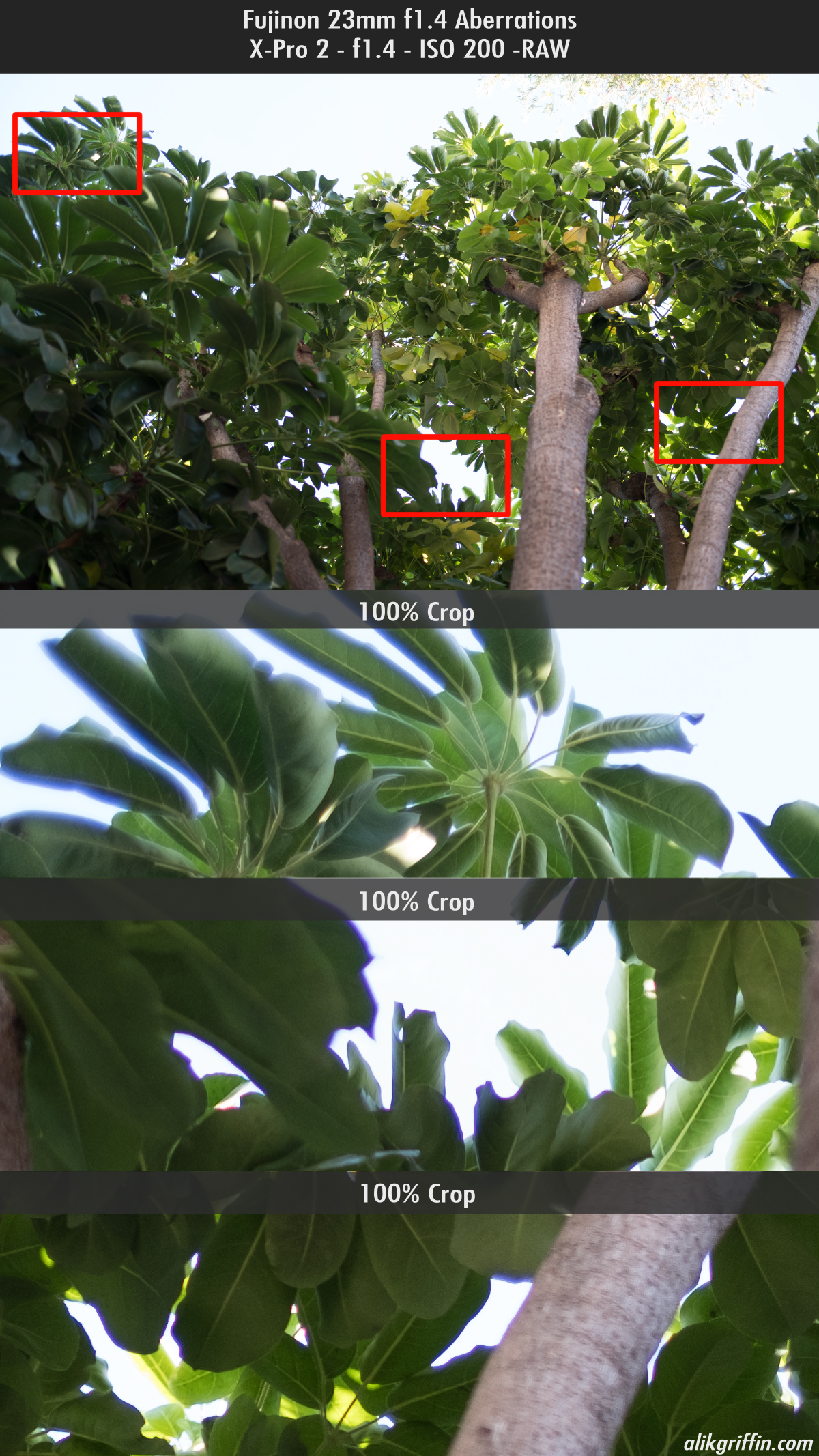 Fuji 23mm f1.4 chromatic aberrations