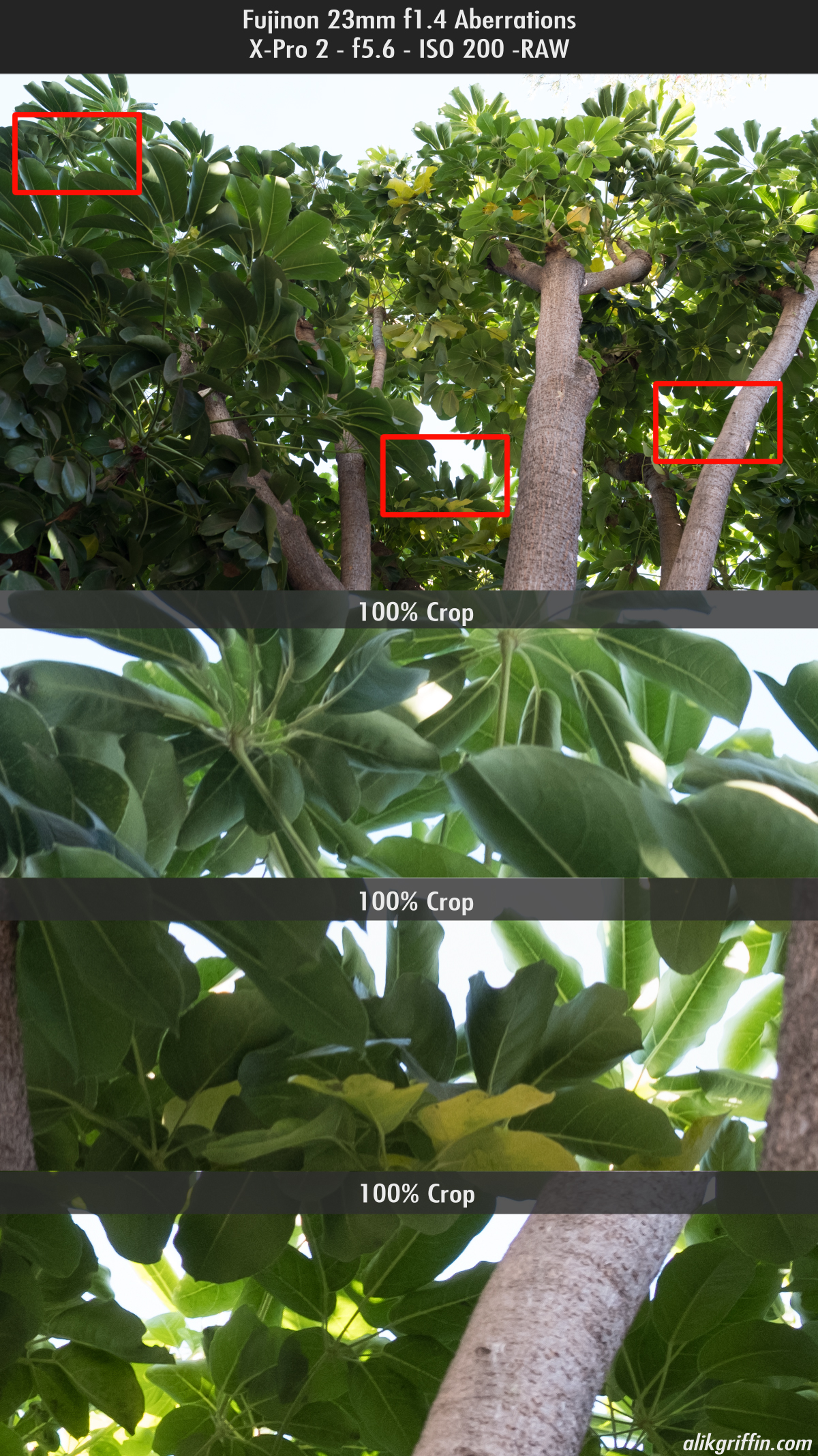 Fuji 23mm f1.4 chromatic aberrations