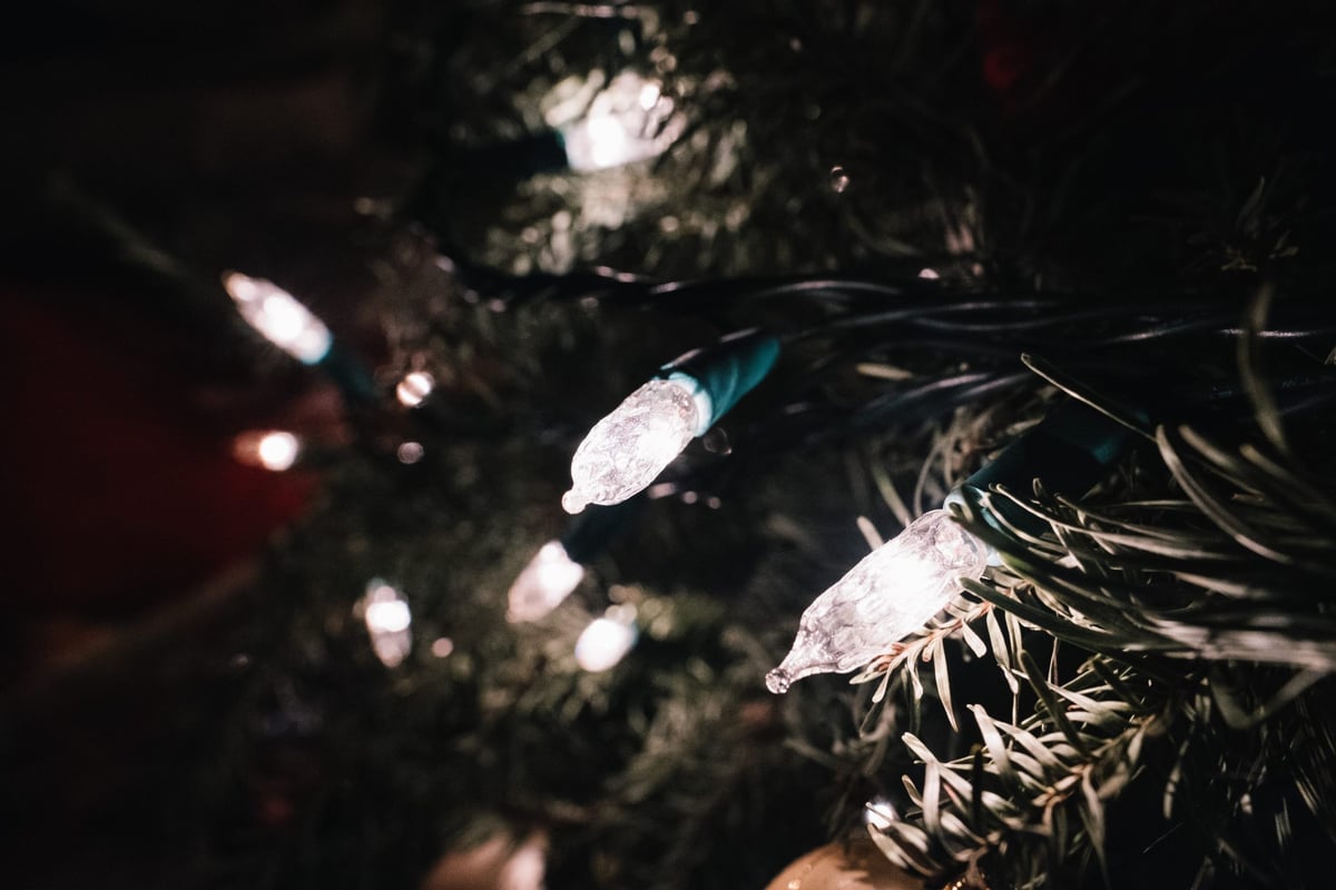 Fuji 16mm bokeh sample