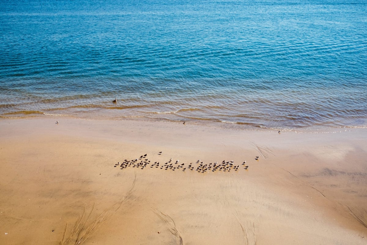 Fuji 23mm f1.4 sample image