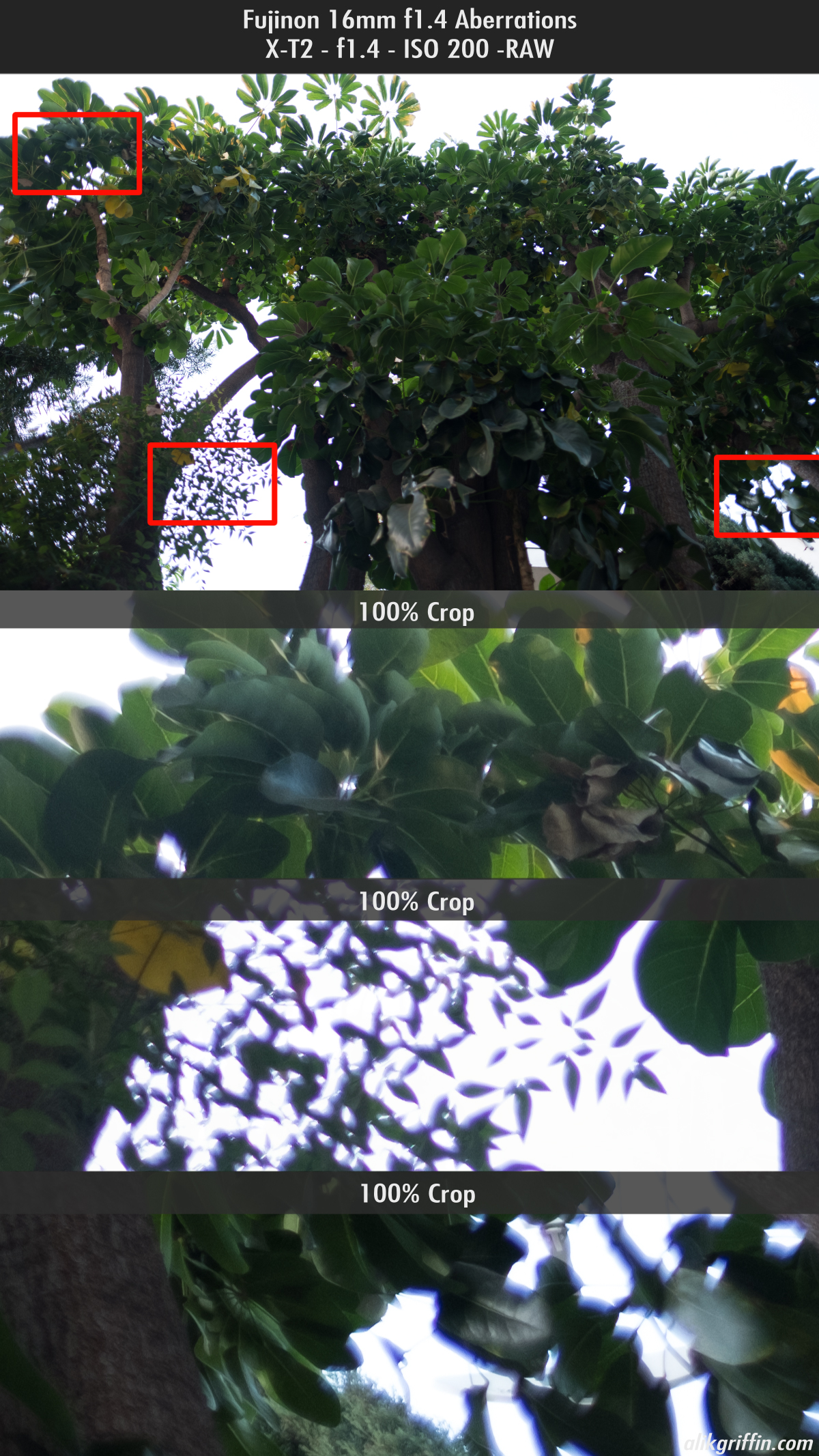 Fujifilm 16mm f1.4 chromatic aberrations wide open