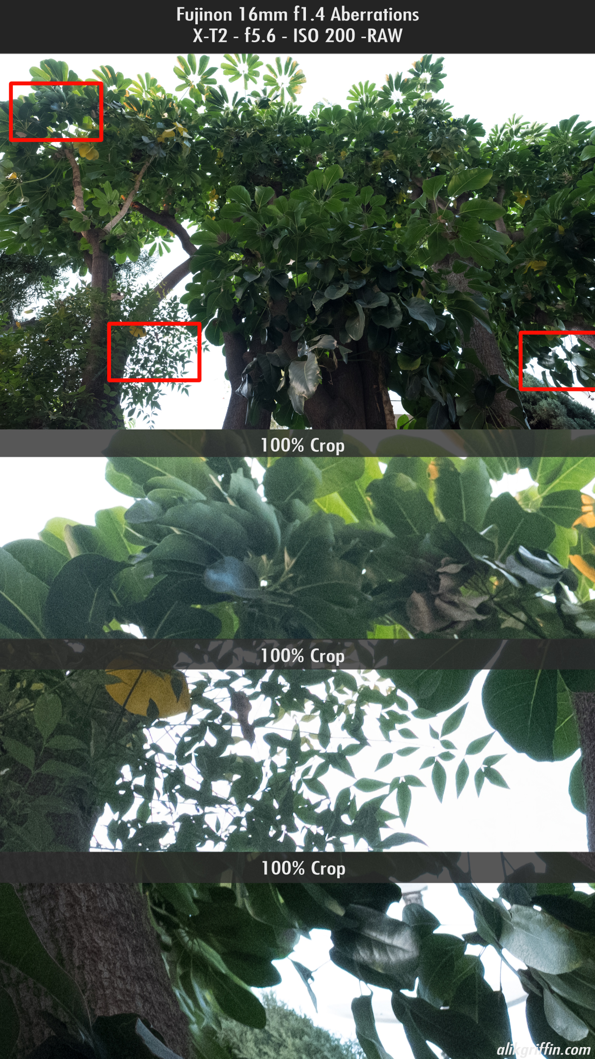 Fujifilm 16mm f1.4 chromatic aberrations @ f5.6