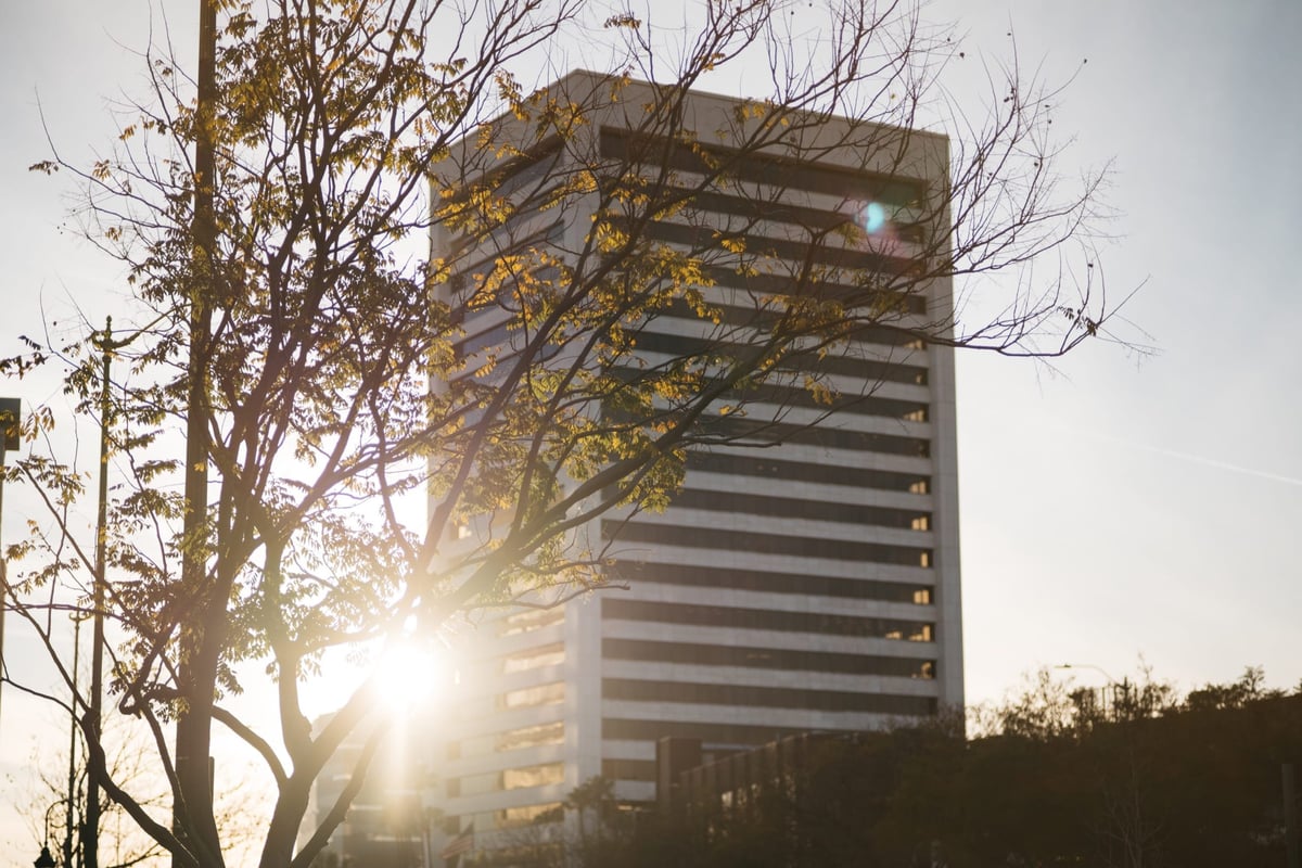 Handevision 75mm f2.4 Flaring Test