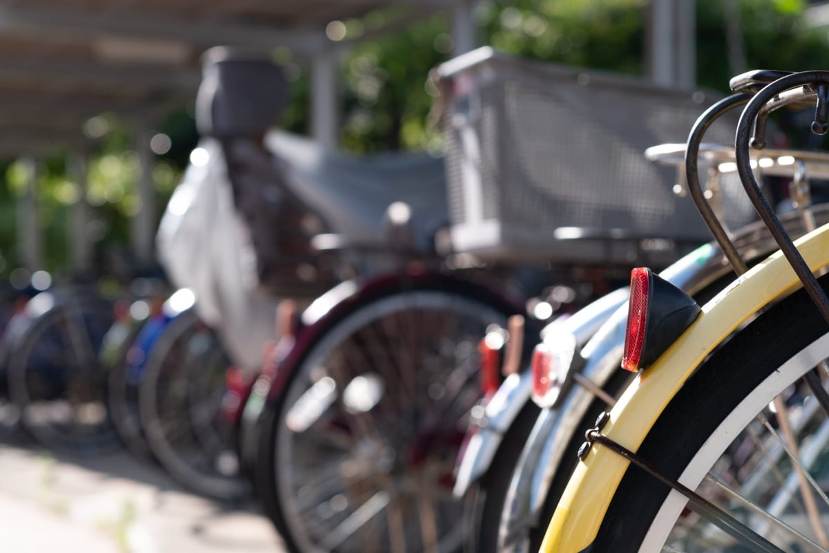 7Artisans 55mm @ f5.6