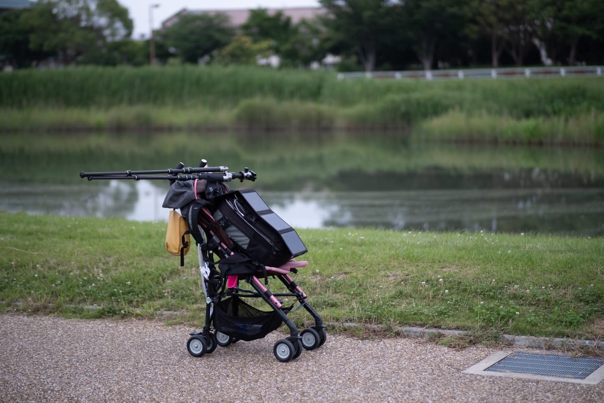 Rokinon 50mm f1.2 Bokeh Sample