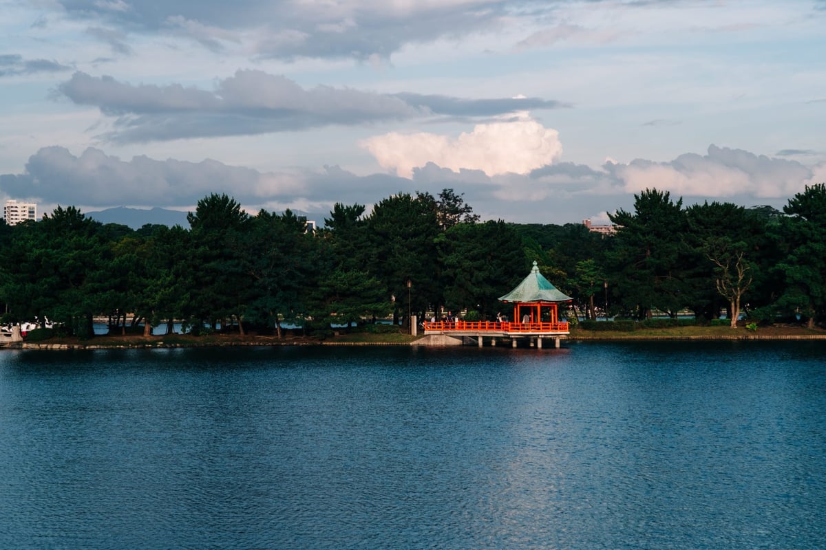 7Artisans 55mm f1.4 Sharpness