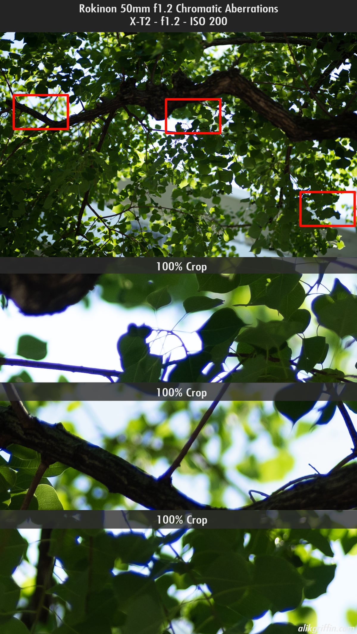 Rokinon 50mm f1.2 Chromatic Aberrations