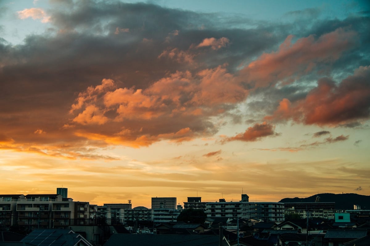 Kipon 50mm f2.4 Sample