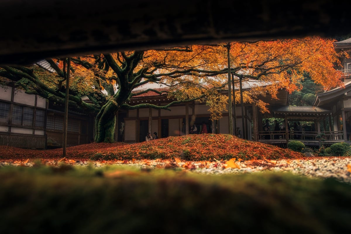 Raizan Sennyoji Daihioin Temple