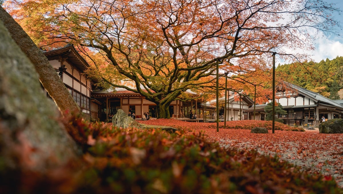 Canon EOS R | Just About Everyone Got It Wrong