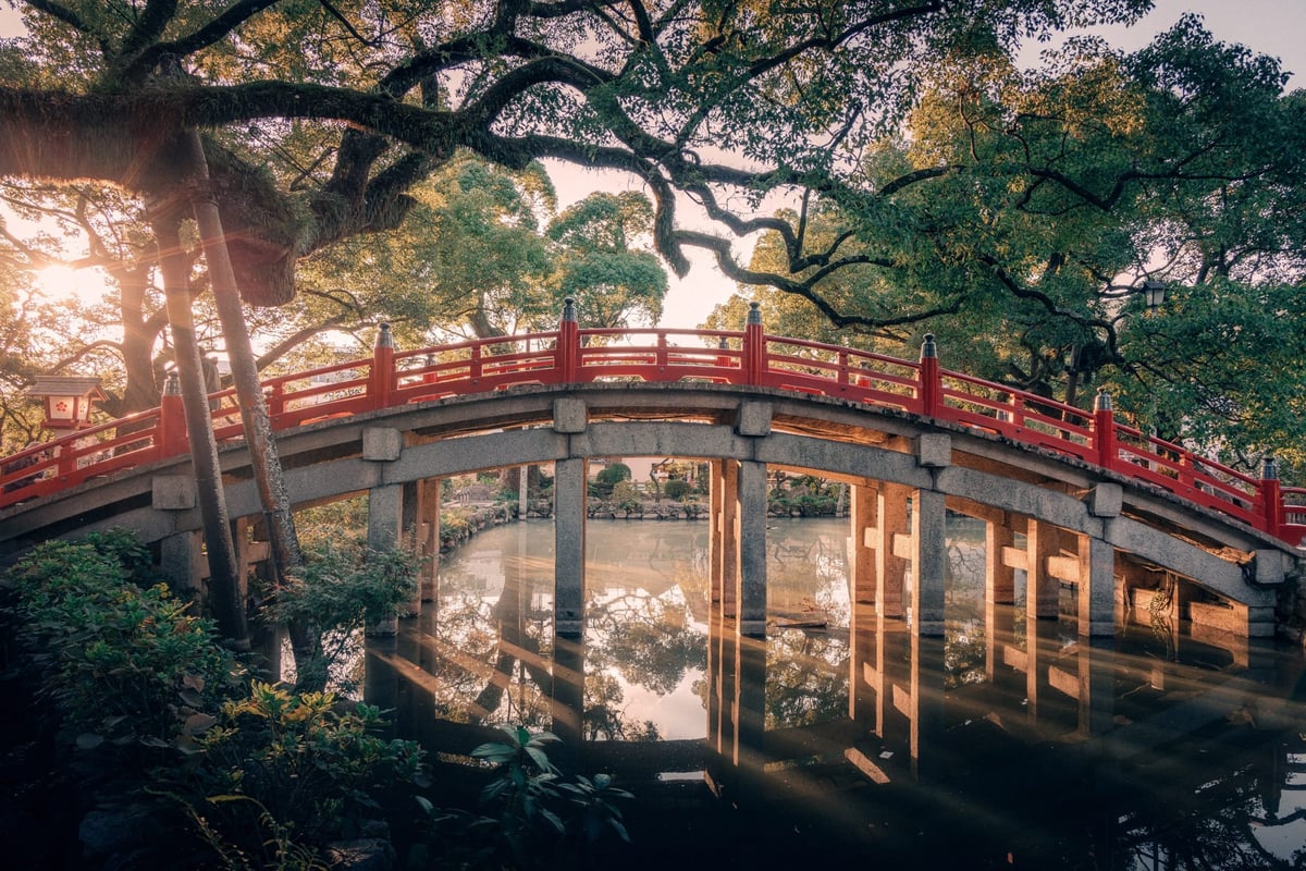 Canon RF 24-105mm f4L Sample Image