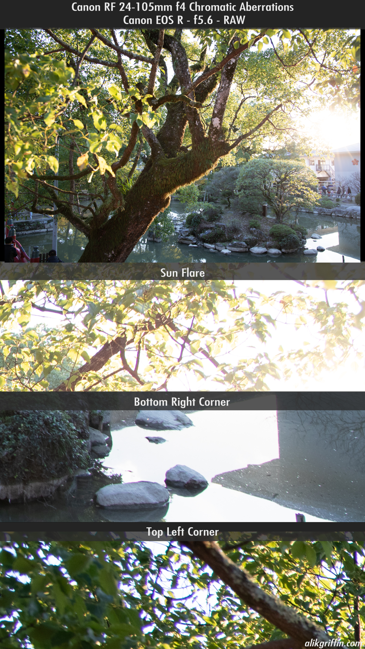 Canon RF 24-105mm f4L Chromatic Aberration Sample