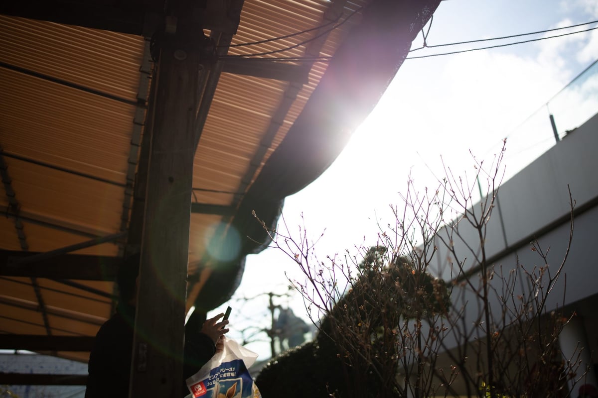 Canon 35mm f1.8 Flaring Sample