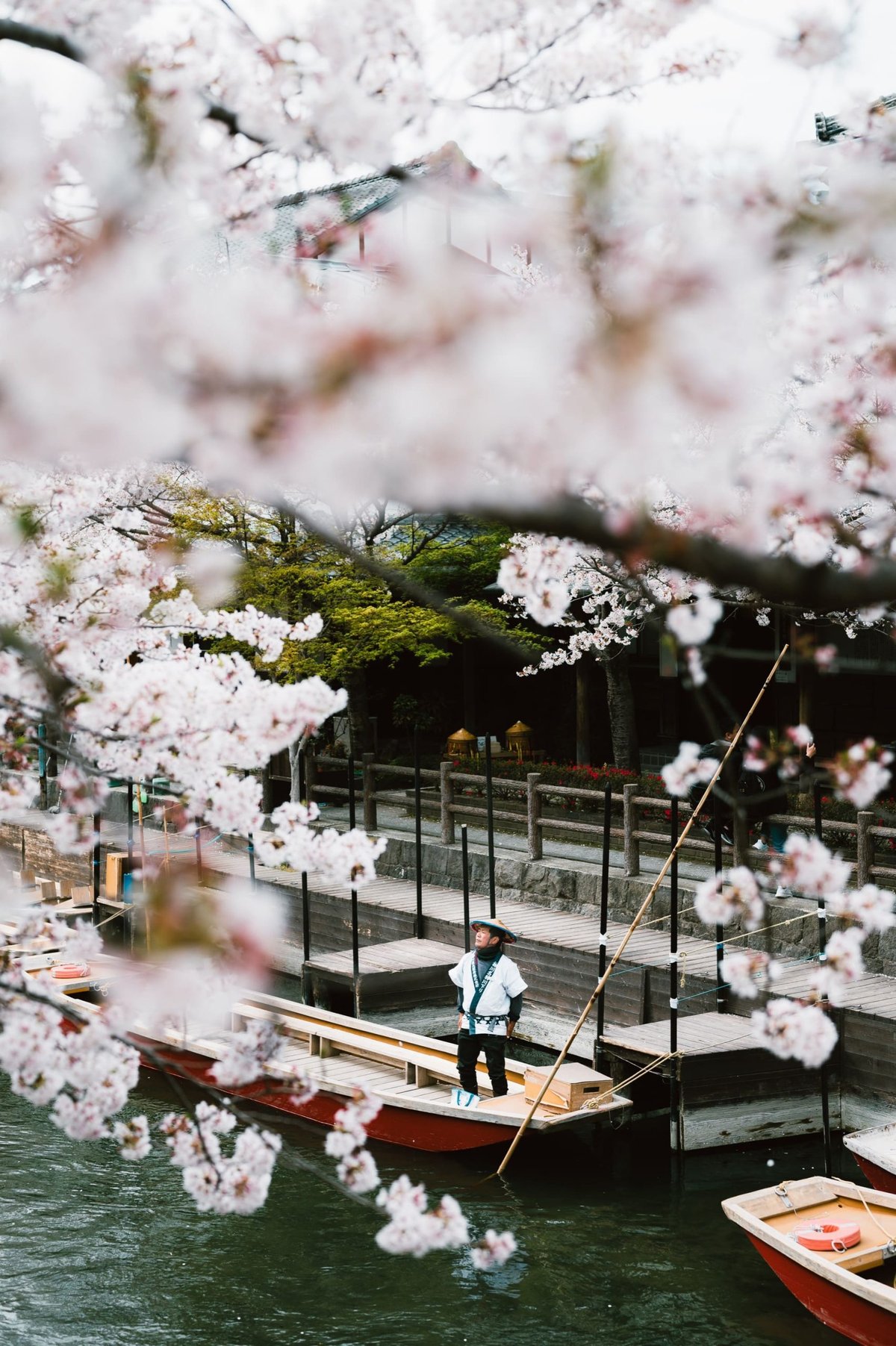 Nikon 50mm f1.8 S Lens Review