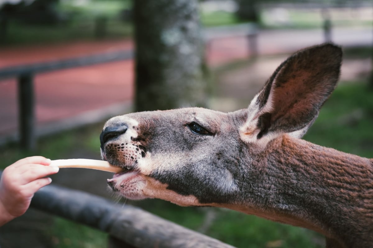 Meike 50mm f2 Sample Image