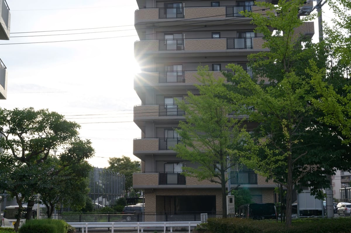 Nikon 50mm f1.8 S Sun Stars