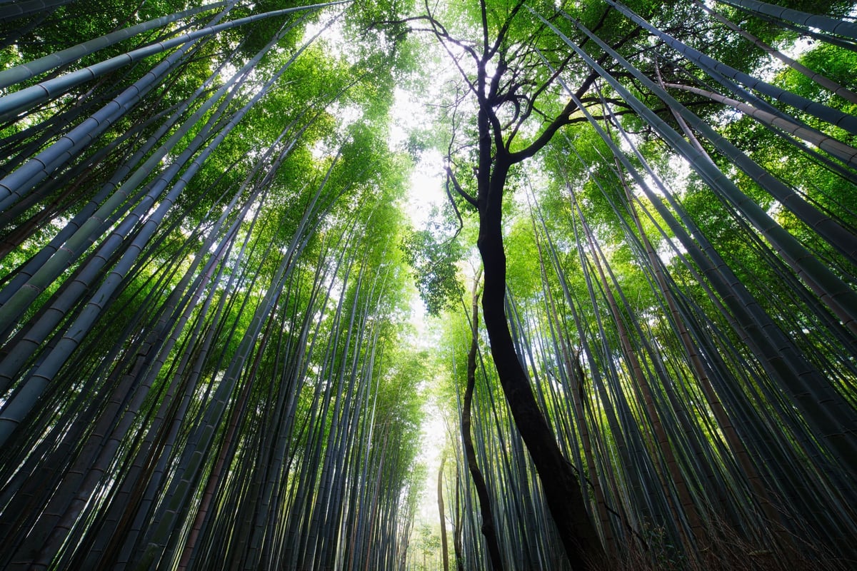 Sony A7r and Landscape Photography