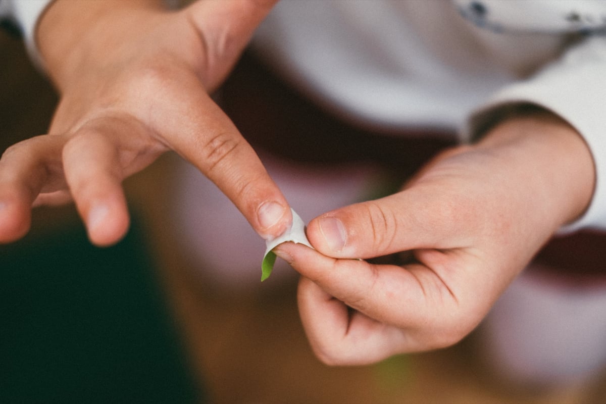 Fujifilm XF 35mm f2 Sample