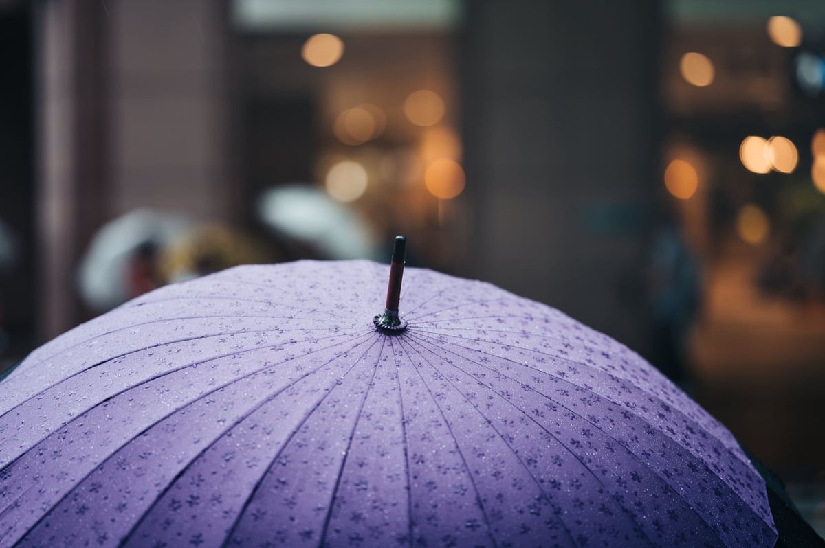 Nikon Z 85mm f1.8 S Sample Photo