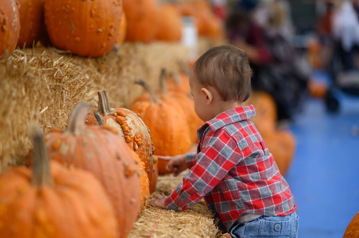 Straight out of camera sample