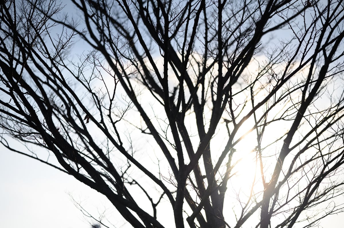 Chromatic Aberrations Sample