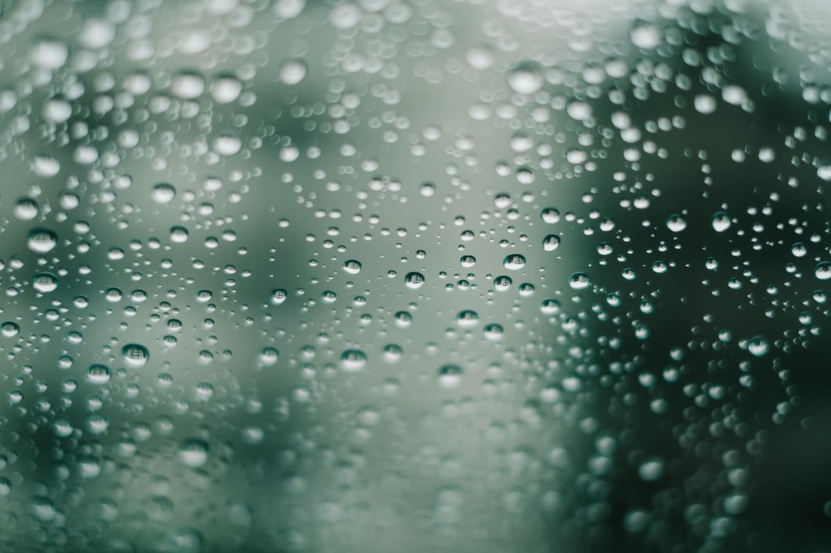 Fujinon 35mm f1.4 Close up bokeh sample