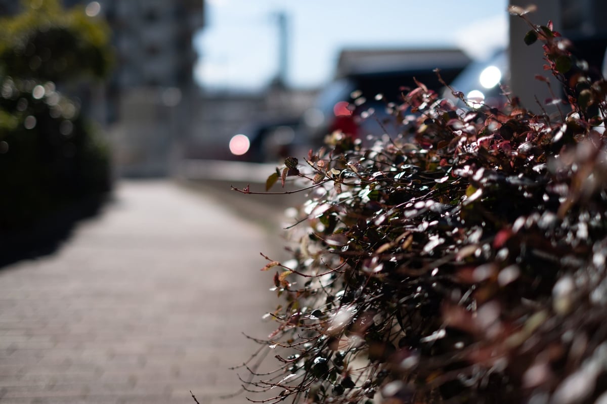 Fujifilm 35mm f1.4 Bokeh Sample