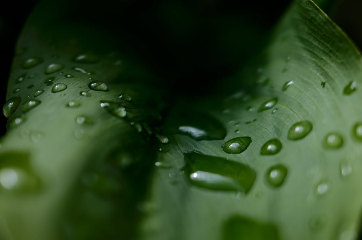 Fujifilm Sample of Clarity set to 0