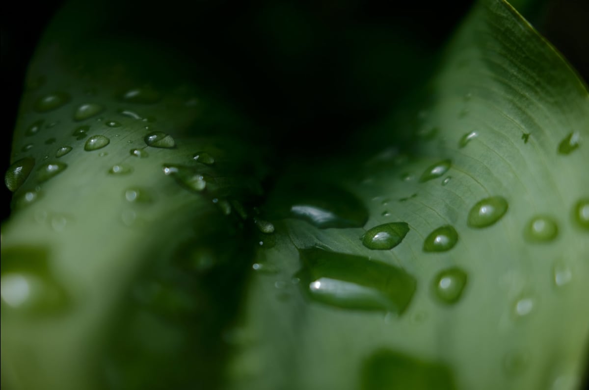 Fujifilm Sample of Clarity set to -5