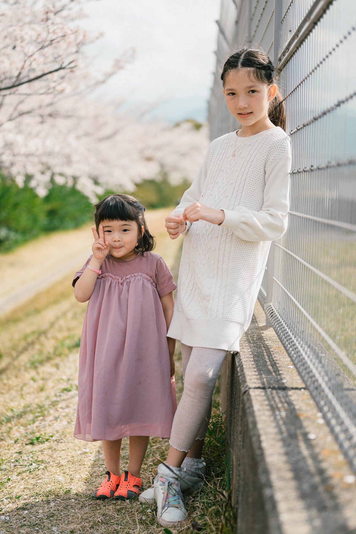 Nikon Z 50mm f1.8 Sample