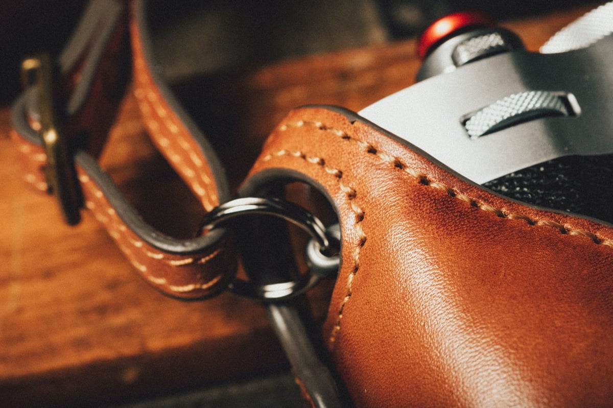 Kaza Deluxe X100V case lug mounts