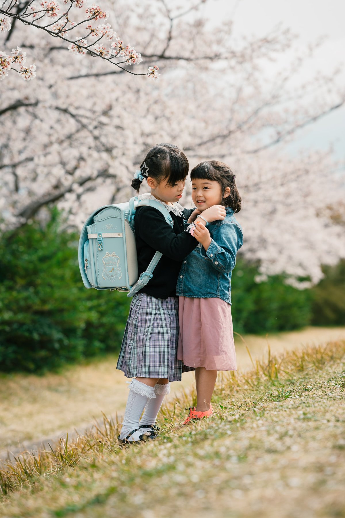 Nikkor Z 85mm f1.8 S Sample Image