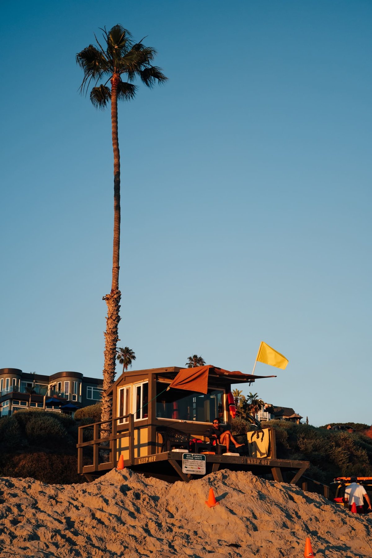 Palm tree next to a life guard tower.