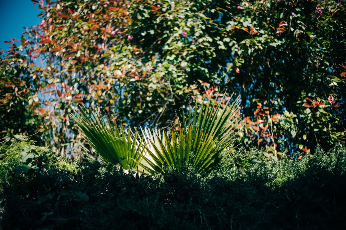 Sample of swirling bokeh.