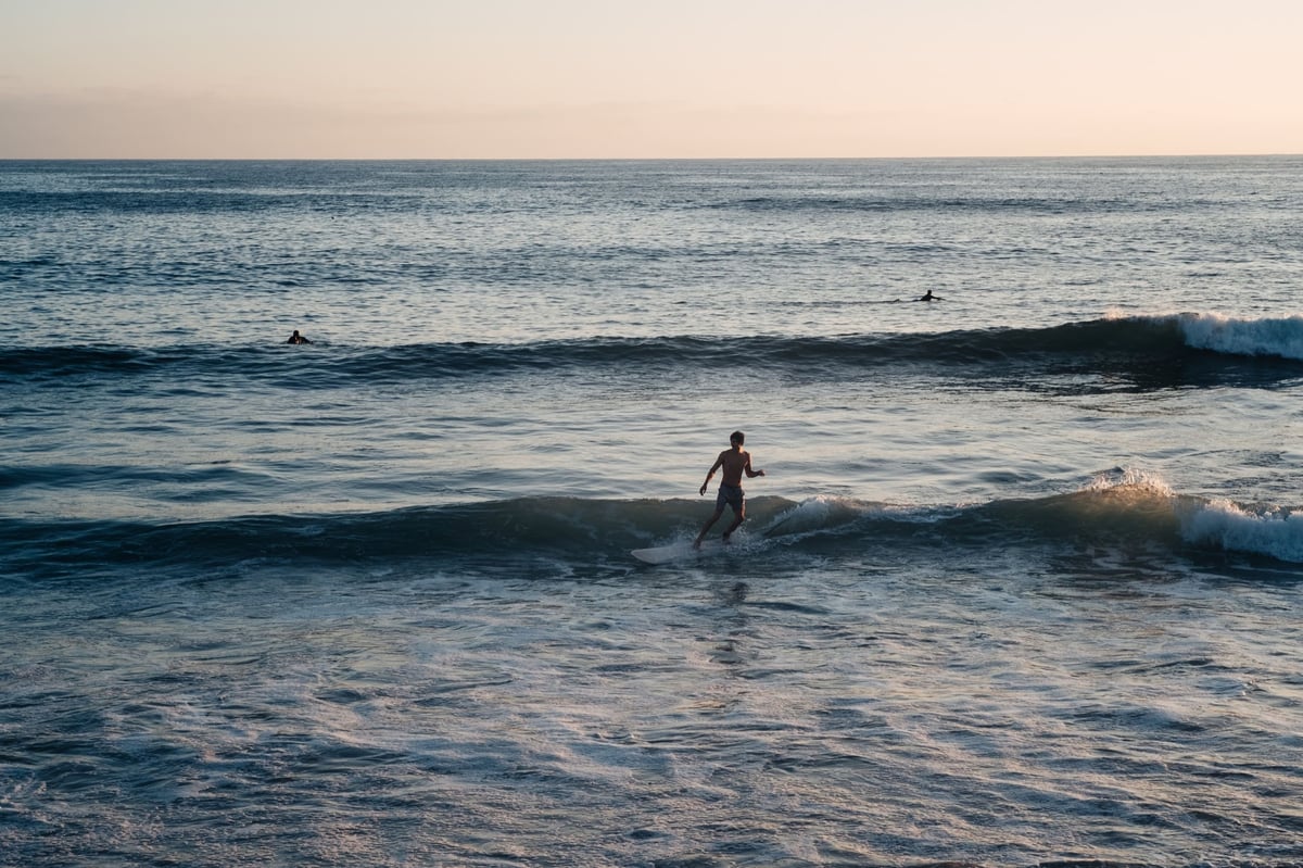 Pergear 50mm f1.8 | Sharpest Budget Lens