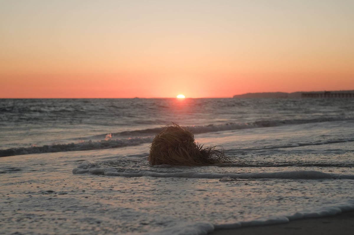 Landscape photography sample.