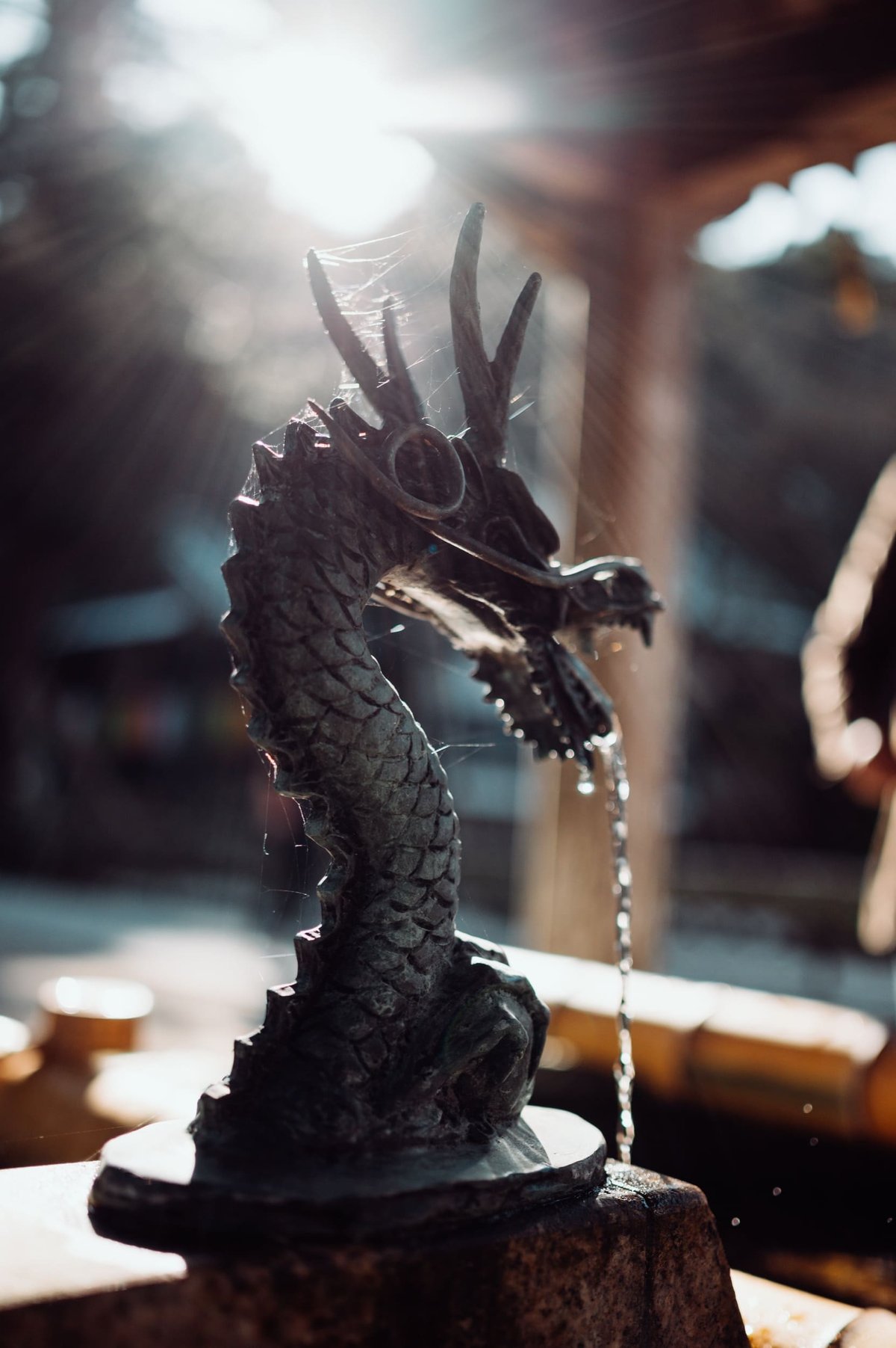 Nikon Z 35mm f1.8 Flaring Sample