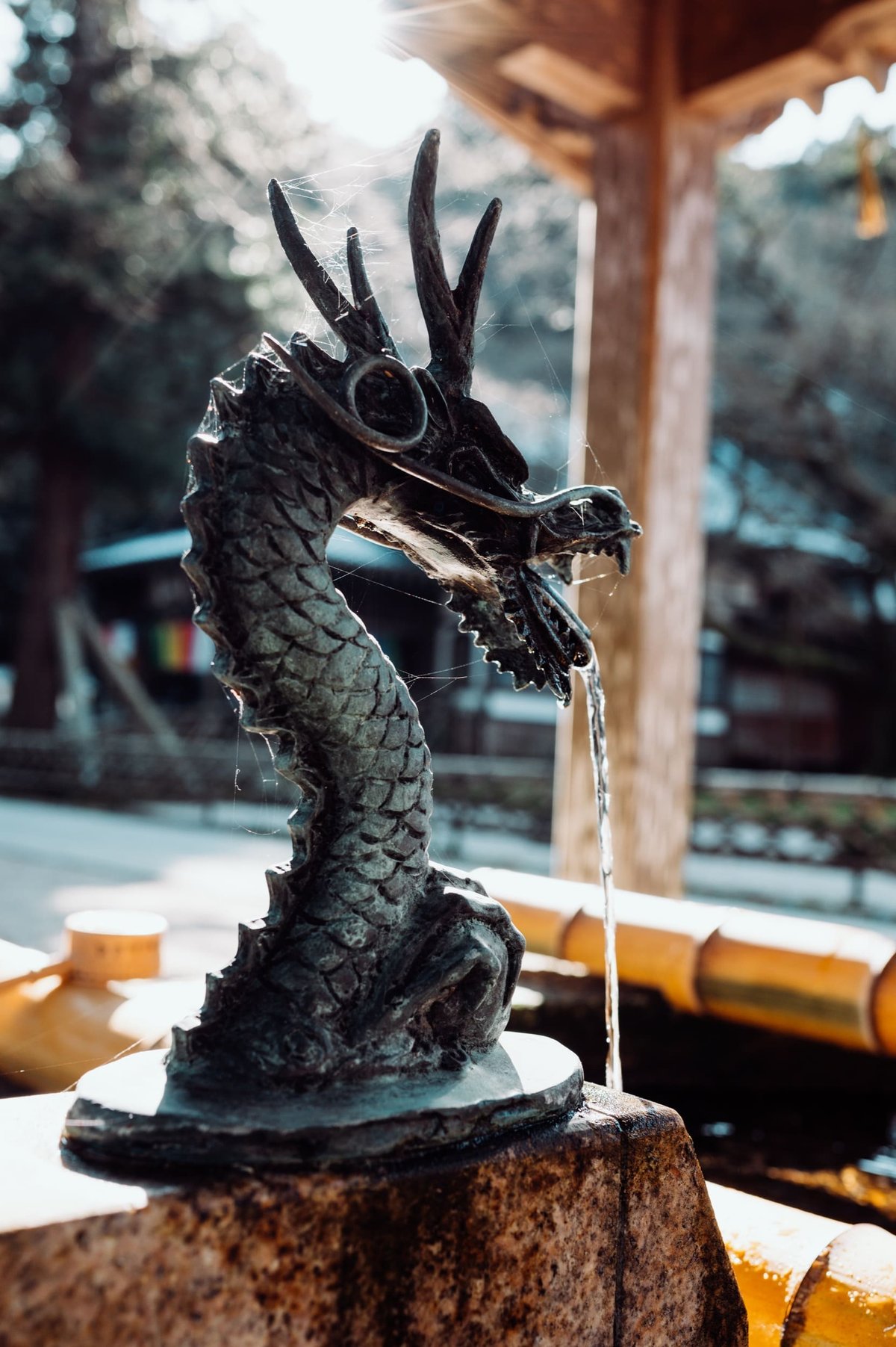 Nikon 35mm f1.8 Flaring Sample stopped down to f4.5