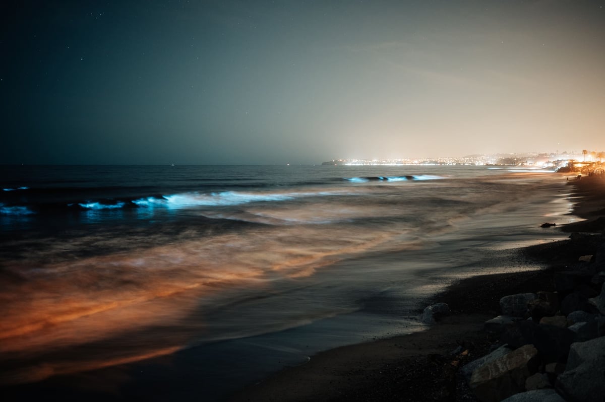 Sample photo of red tide at night.