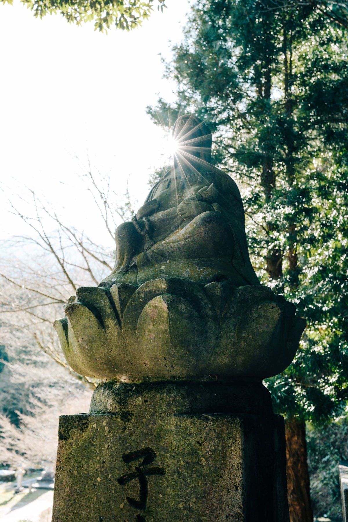 Nikon 35mm f1.8 Sun Stars