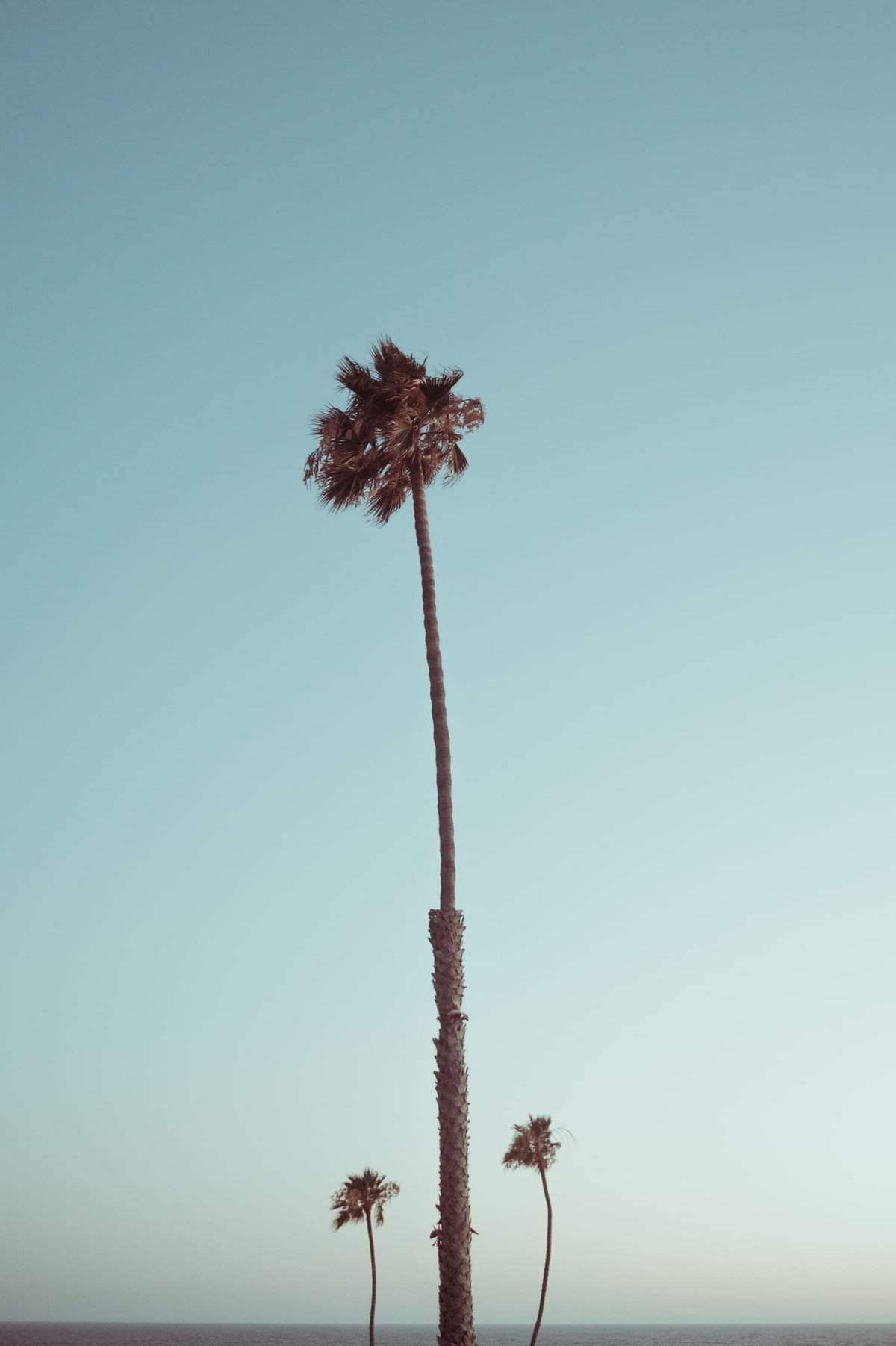 Kipon 35mm sample photo