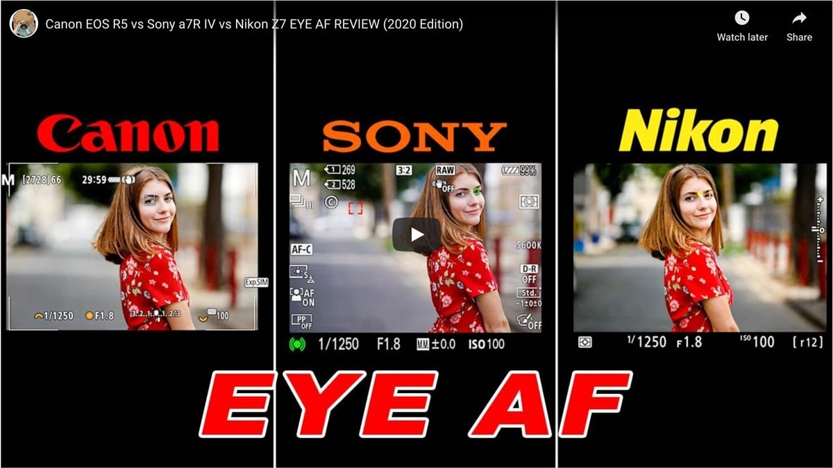 Nikon Z7 Eye AF Better Than Sony A7rIV