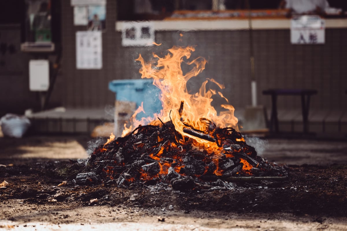 Nikon Z 50mm f1.8 Sample