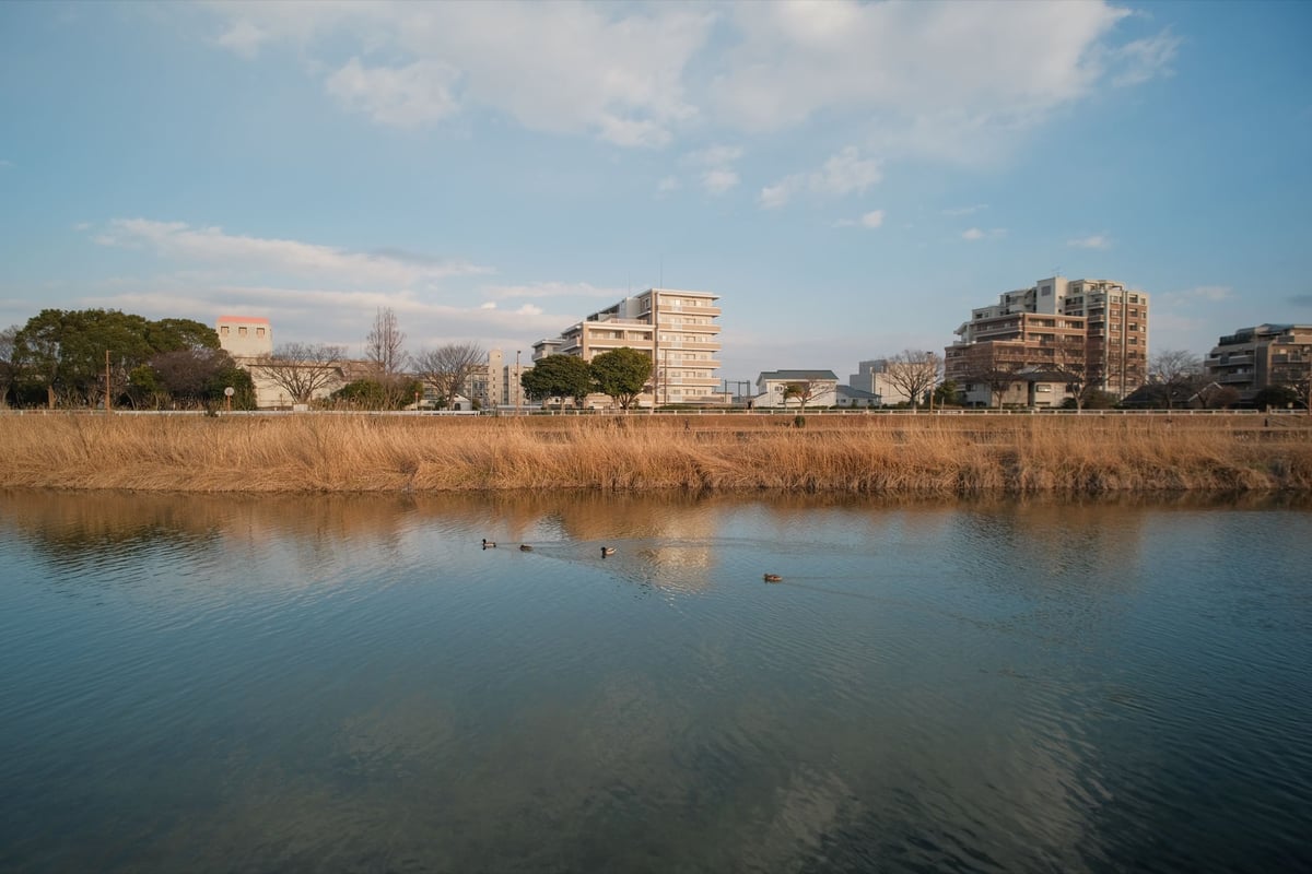 Pergear 12mm f2 Landscape Photo